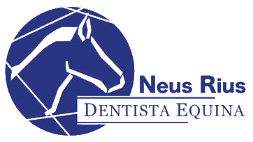 Dentista Equina